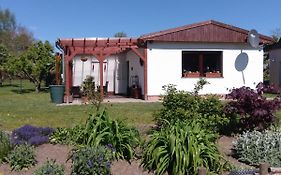 Ferienhaus Koi Blick